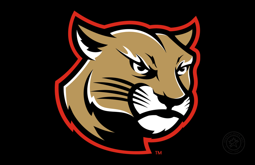 SIU Edwardsville Cougars 2023-Pres Alt on Dark Logo v2 diy DTF decal sticker